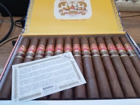 Partagas Shorts
